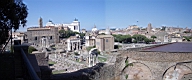 View from the Palatine.jpg